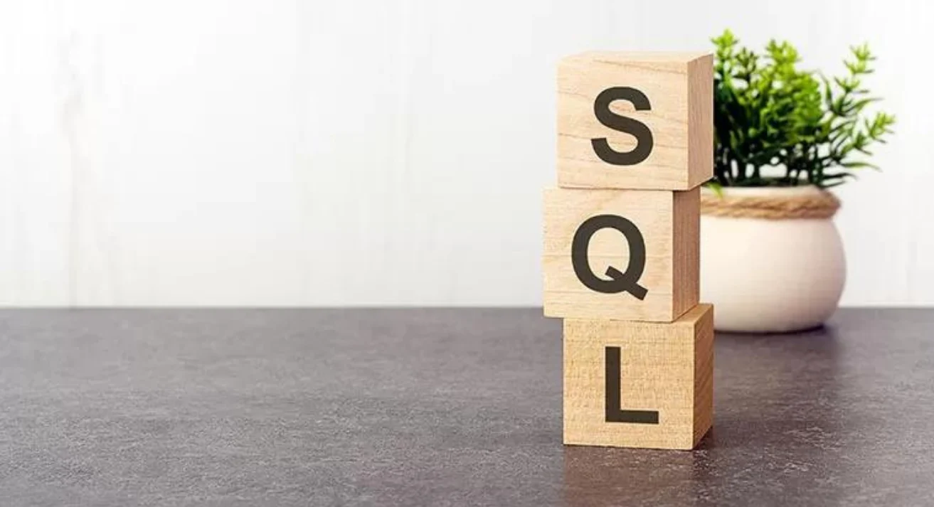 ERP Programlarda SQL Server Kullanmanın Avantajları